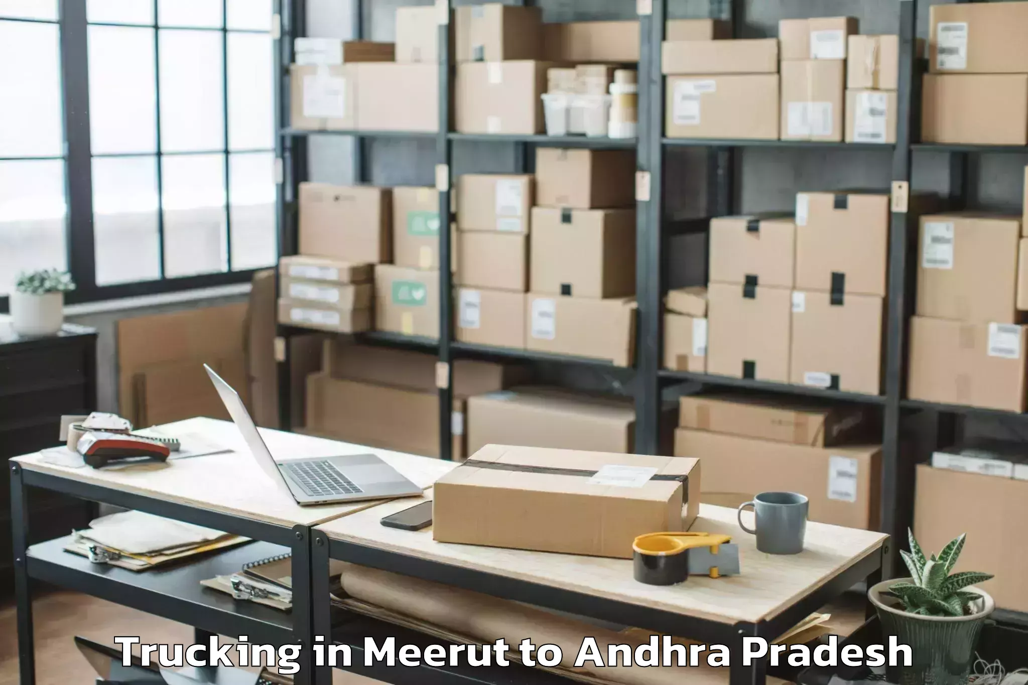 Hassle-Free Meerut to Pedagantyada Trucking